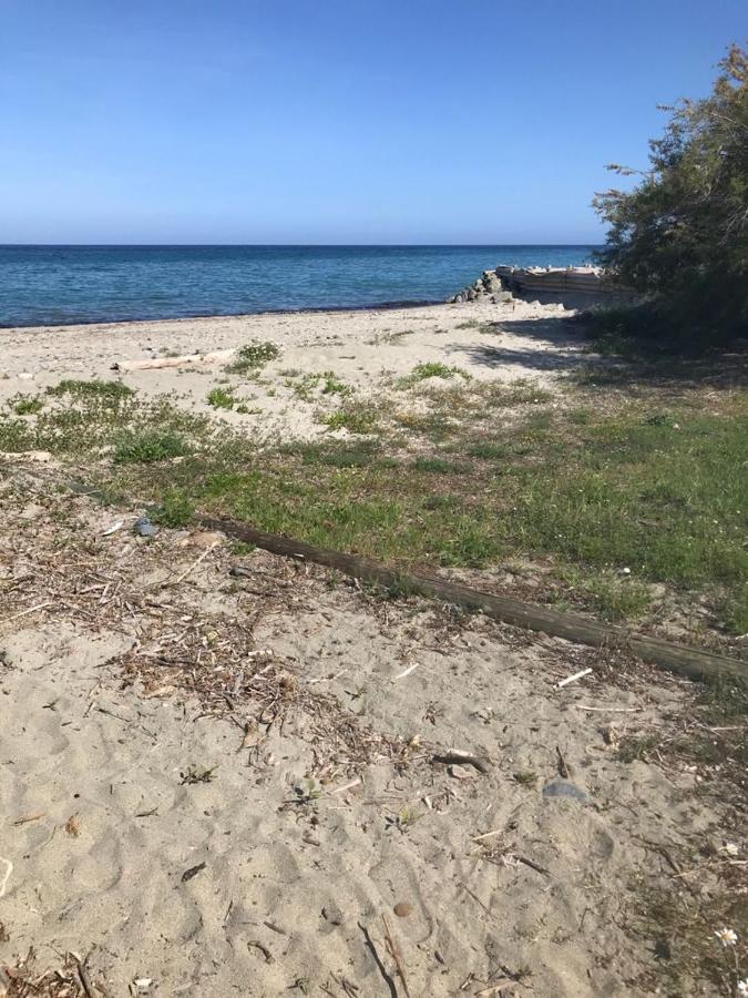Апартаменти Corsica Studio Face A La Mer Moriani Plage Сан-Ніколао Екстер'єр фото